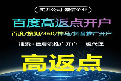 SEM代理案例：揭秘成功背后的秘密