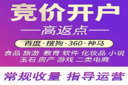 某行业sem竞价开户的经典案例剖析