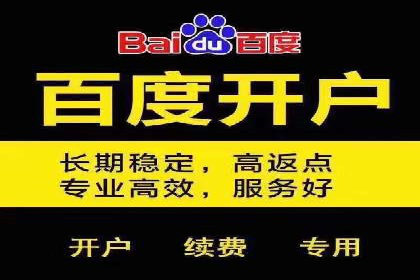 SEM服务公司经典案例集锦