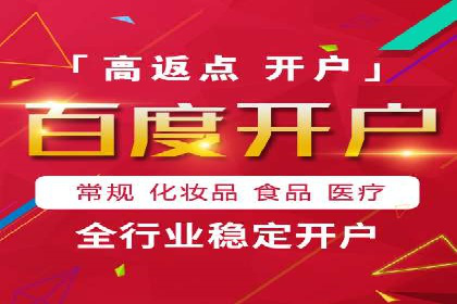 行业领先的SEM竞价广告投放案例